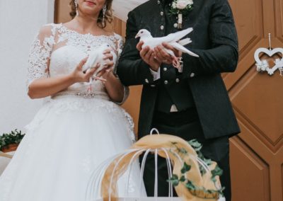 holuby na vypustenie po svadbe
